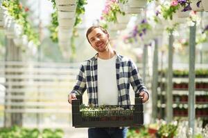 Sunny weather. .With box of plants. Florist man working in garden center. Successful employee is in a bright greenhouse photo