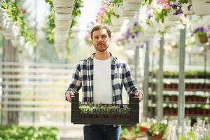 Sunny weather,. With box of plants. Florist man working in garden center. Successful employee is in a bright greenhouse photo