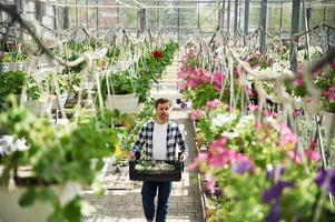 Many ,of the,flowers. Man is working in garden center. Successful employee is in a bright greenhouse photo