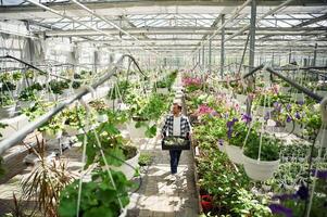 Many of the flowers. ..Man is working in garden center. Successful employee is in a bright greenhouse photo