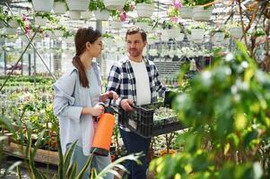 Walking,, looking, at each other, holding watering device. Florist man and woman are together in greenhouse photo