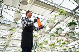 Florist man working in garden center.. Successful employee is in a bright greenhouse photo