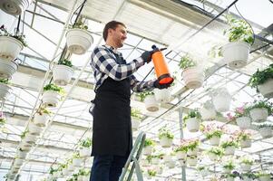Process of watering. Florist man working in garden center. Successful employee is in a bright greenhouse photo