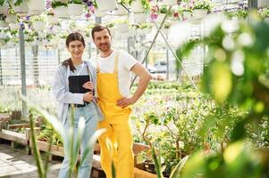 Using, digital ,tablet. Florist man and woman are working together in bright greenhouse photo