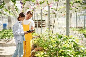 Using, digita,l tablet. Florist man and woman are working together in bright greenhouse photo