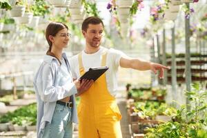 Standing, using, digital tablet. Florist man and woman are working together in bright greenhouse photo