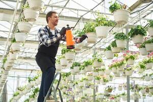 Process of watering.. Florist man working in garden center. Successful employee is in a bright greenhouse photo