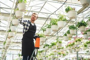 Florist, man working in garden center. Successful employee is in a bright greenhouse photo