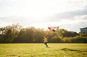 Distant view. Little boy is playing with a kite on the field at summer time photo