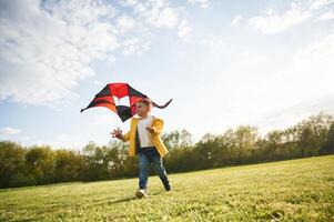 On green meadow. .Little boy, is playing with a kite photo