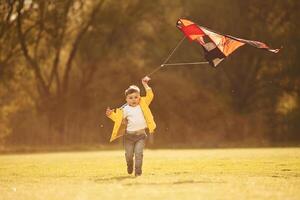 Amazing ,sunlight. Little boy is playing with a kite on the field at summer time photo