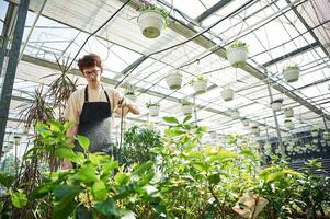 Daily watering... Young man with curly hair and in glasses is in greenhouse photo