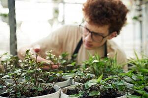 Touching ,and checking flowers that are still in growth. Young man with curly hair and in glasses is in greenhouse photo