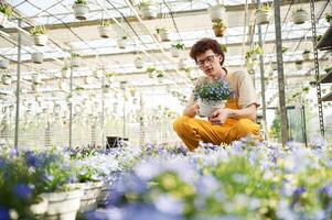 Purple, colored ,flowers in pots. Young man with curly hair and in glasses is in greenhouse photo