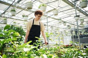 Daily, watering. Young man with curly hair and in glasses is in greenhouse photo