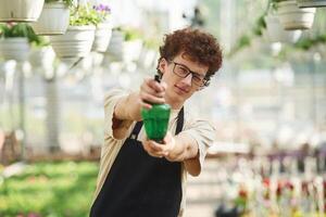 Front view, standing ,with watering bottle. Young man with curly hair and in glasses is in greenhouse photo