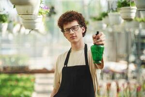 Front view, standing with watering ,bottle. Young man with curly hair and in glasses is in greenhouse photo