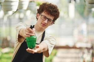 Front ,view, standing with watering bottle. Young man with curly hair and in glasses is in greenhouse photo