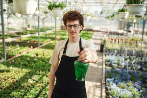 Conception of watering. Young man ,,with curly hair and in glasses is in greenhouse photo