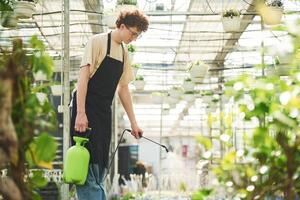 Watering the plants. Young man with ,curly hair and in glasses is in greenhouse photo