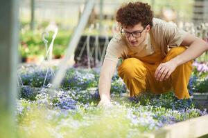 Yellow ,colored ,uniform. Young man with curly hair and in glasses is in greenhouse photo