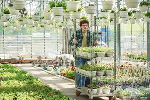 Plants in the pots... Young man with curly hair and in glasses is in greenhouse photo