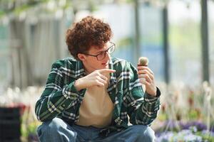 Sitting, and holding the little cactus. Young man with curly hair and in glasses is in greenhouse photo