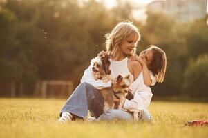 Embracing the, mother. Beautiful mother ,with her little daughter and dogs are on the summer field together photo