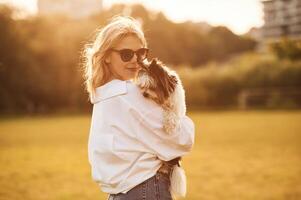 Woman, in sunglasses is standing on the summer field and holding little dog photo