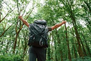 Enjoying the freedom, hands, to the sides. Tourist in summer forest. Conception of exploration and leisure photo