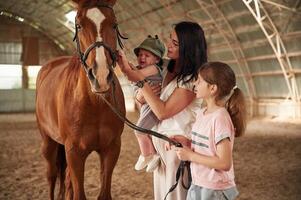 Woman with two kids is with horse indoors photo