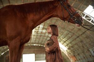 Side view. .Cute little girl is with horse indoors photo