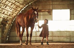 Walking together. Cute little girl is with horse indoors photo
