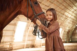 Standing, side ,view, taking care ,of animal. Cute little girl is with horse indoors photo