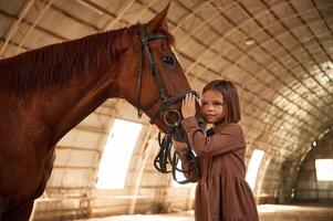 Standing, side view, ,taking care of animal. Cute little girl is with horse indoors photo