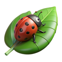 dramatic abstract A ladybug crawling on a leaf leaf cropped out high resolution png