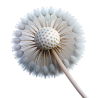 extraordinary vintage Close up of a dandelion clock clock only authentic png