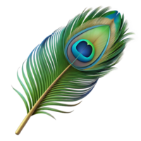 glorious ethereal abstract Peacock feather NO BACKGROUND with Transparent Background. luxury png