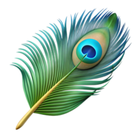 captivating playful retro Peacock feather NO BACKGROUND with Transparent Background. professional png