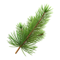 gorgeous rustic Pine branch with needles NO BACKGROUND with Transparent Background. top-tier png