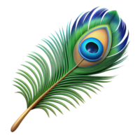 dramatic melancholic minimalist Peacock feather NO BACKGROUND with Transparent Background. high quality png