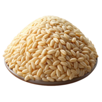 ethereal elegant Pile of rice grains NO BACKGROUND with Transparent Background. original png