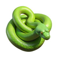 unparalleled artistic A slithering green tree python, coiled, NO BACKGROUND with Transparent Background. genuine png