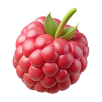 fascinating sought-after Single raspberry NO BACKGROUND with Transparent Background. png