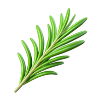 glorious mid-century A single sprig of rosemary NO BACKGROUND with Transparent Background. masterfully captured png