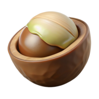 enchanting mid-century Macadamia nut in shell NO BACKGROUND with Transparent Background. crisp png