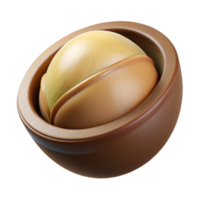 radiant inspired Macadamia nut in shell NO BACKGROUND with Transparent Background. png