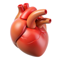 remarkable mid-century A human heart, anatomically accurate, NO BACKGROUND with Transparent Abstract Background. genuine png