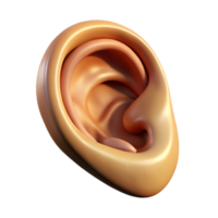 exemplary rustic A single, stylized human ear. NO BACKGROUND with Transparent Abstract Background. 8K png