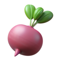 gorgeous harmonious elegant Single radish with leaves NO BACKGROUND with Transparent Background. studio quality png